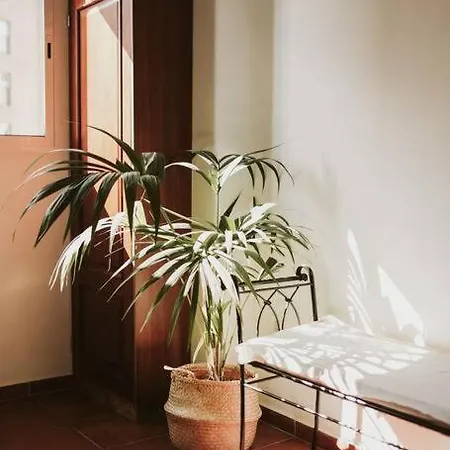 De La Candelaria I * Santa-Cruz de Ténérife